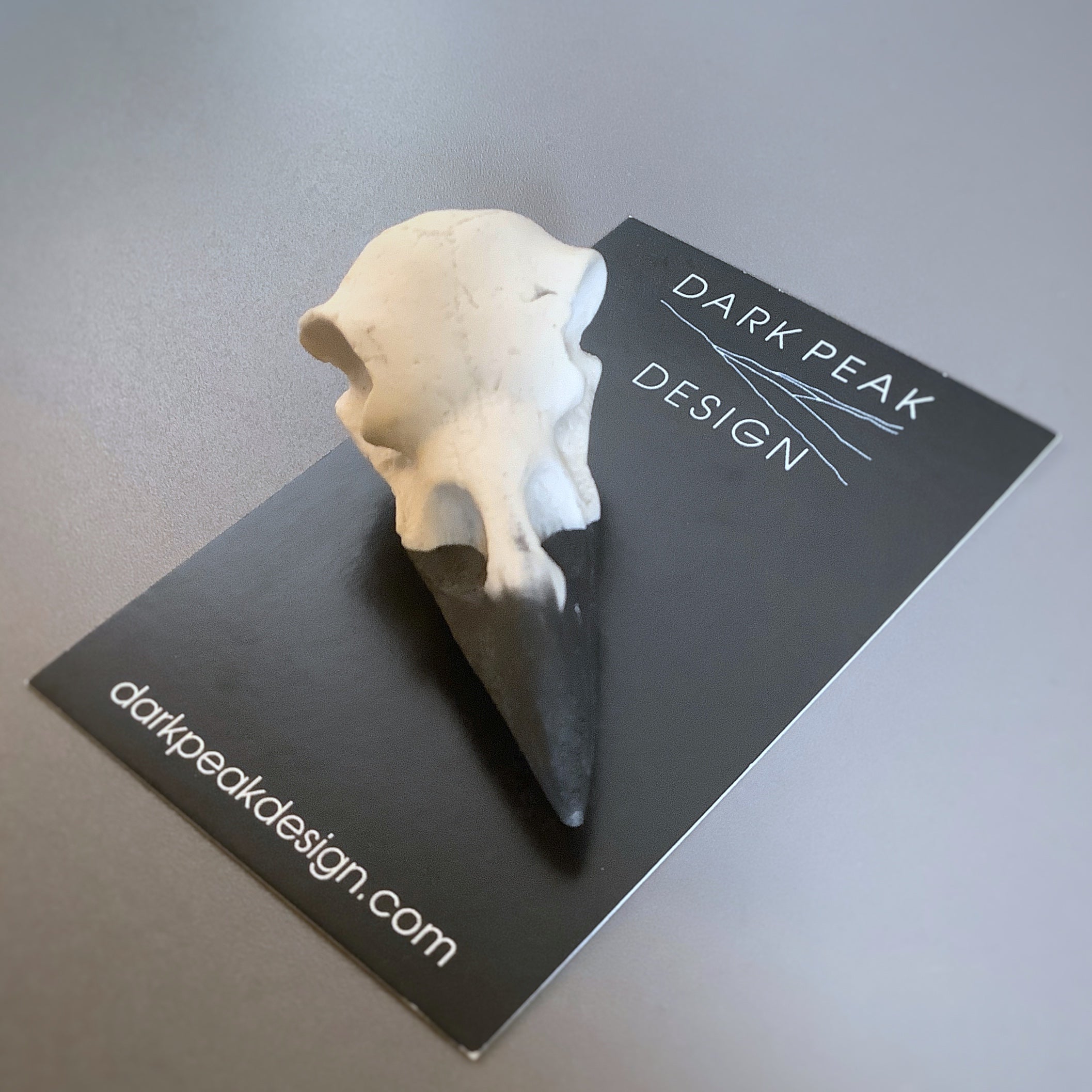 Crow Skull Magnet