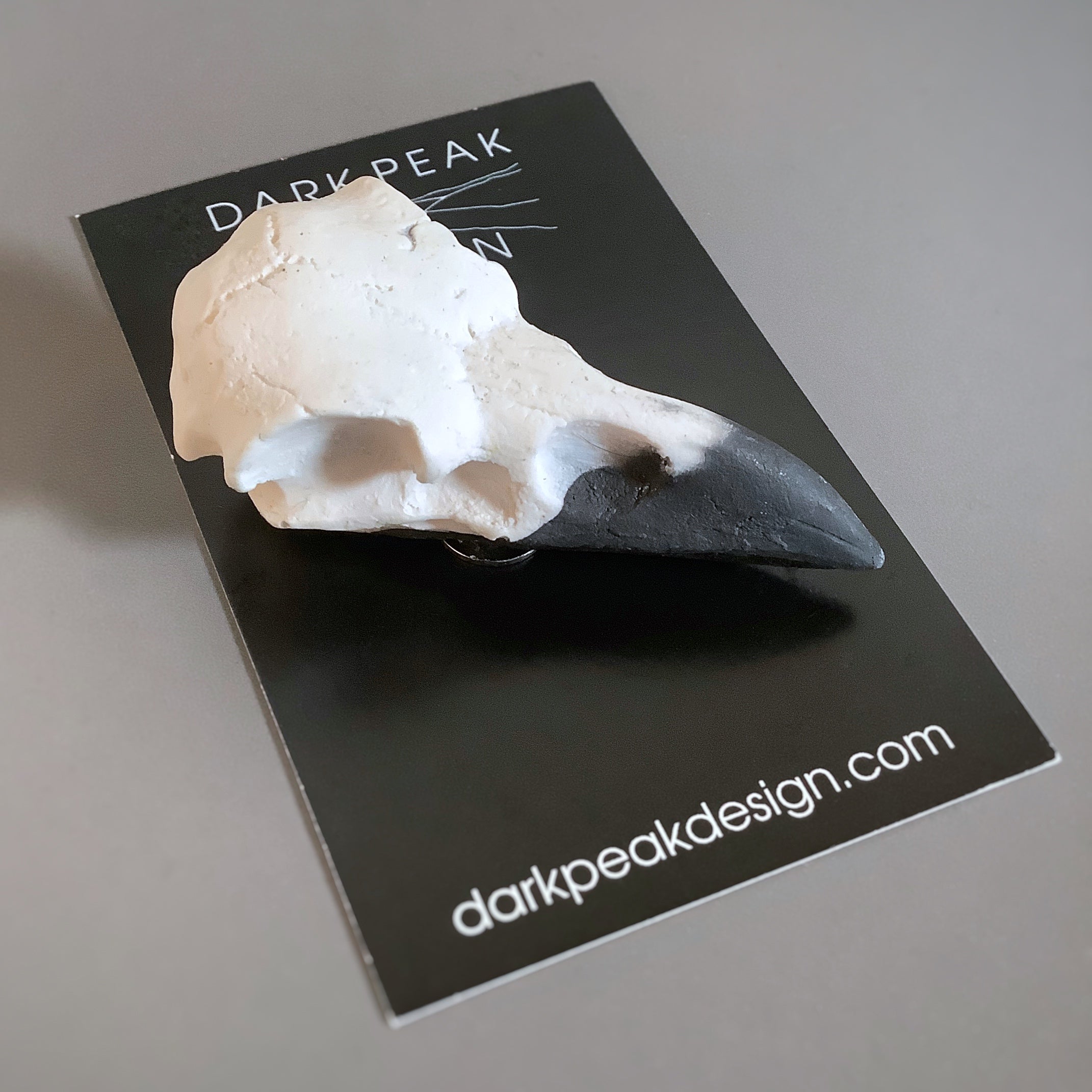 Crow Skull Magnet