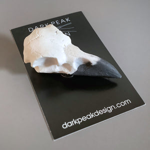Crow Skull Magnet